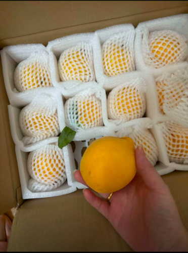 Dandong Golden Peach photo review