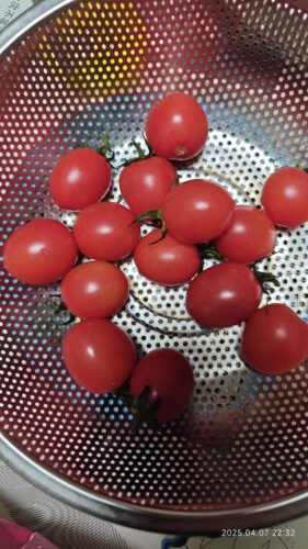 Baby Tomatoes photo review