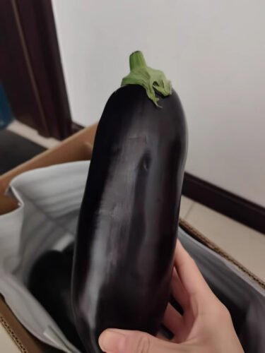 Fresh Organic Eggplant photo review